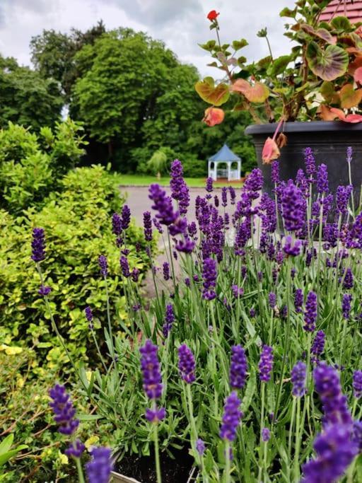 The Nook Located In A Beautiful Garden Setting With Parking