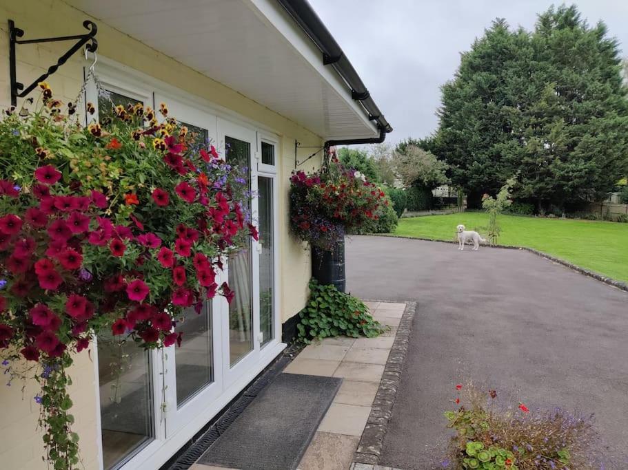 The Nook Located In A Beautiful Garden Setting With Parking Holiday home